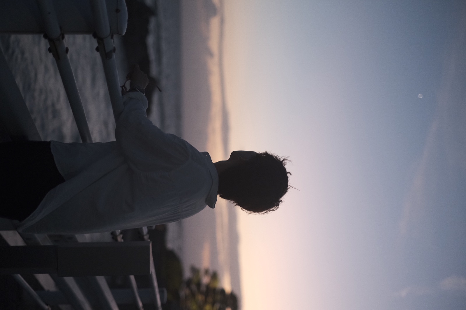 夕暮れの海を見つめる人物